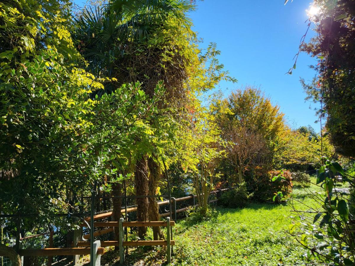 גיפה Bella Vista Lago Maggiore מראה חיצוני תמונה
