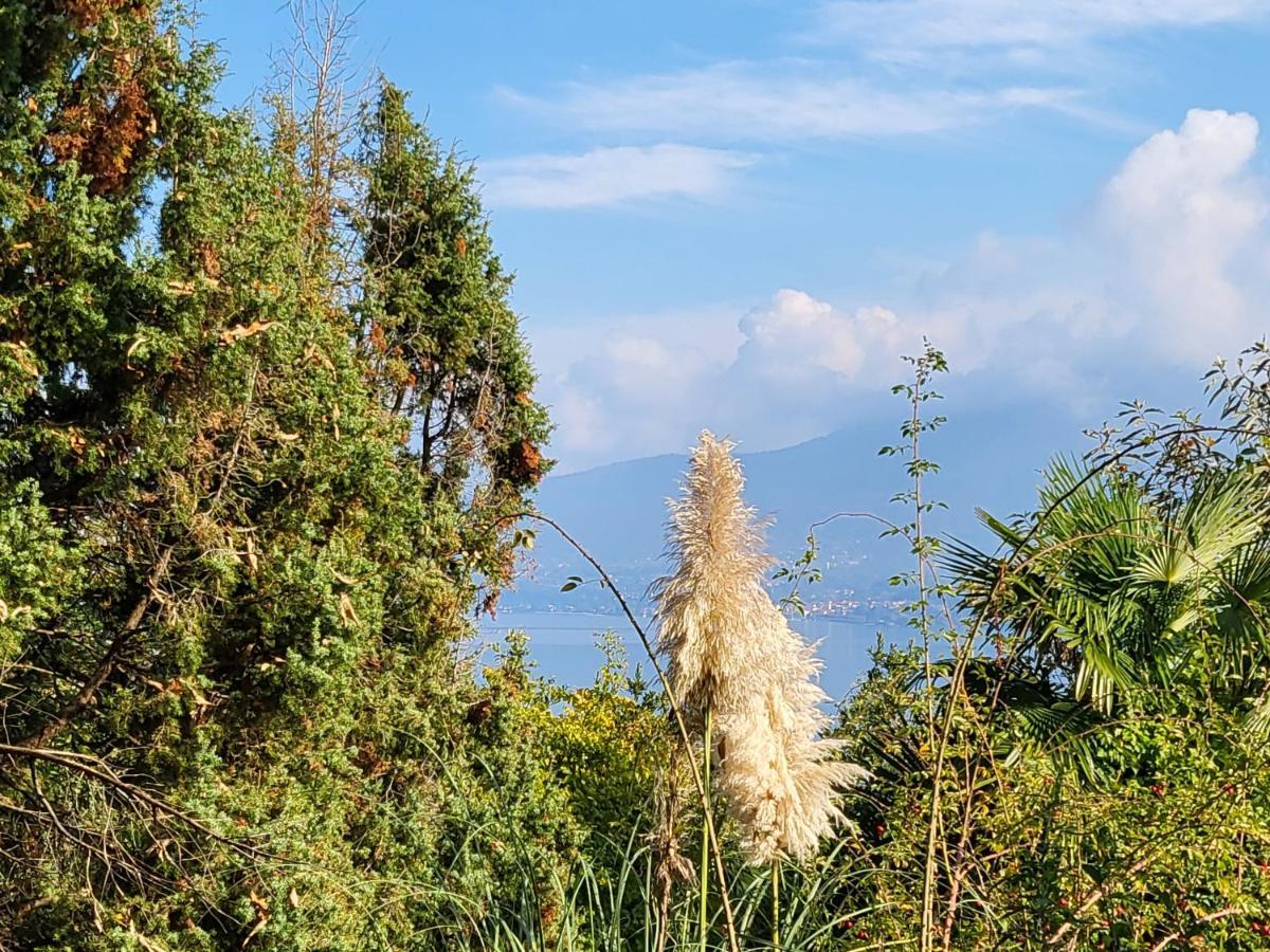 גיפה Bella Vista Lago Maggiore מראה חיצוני תמונה