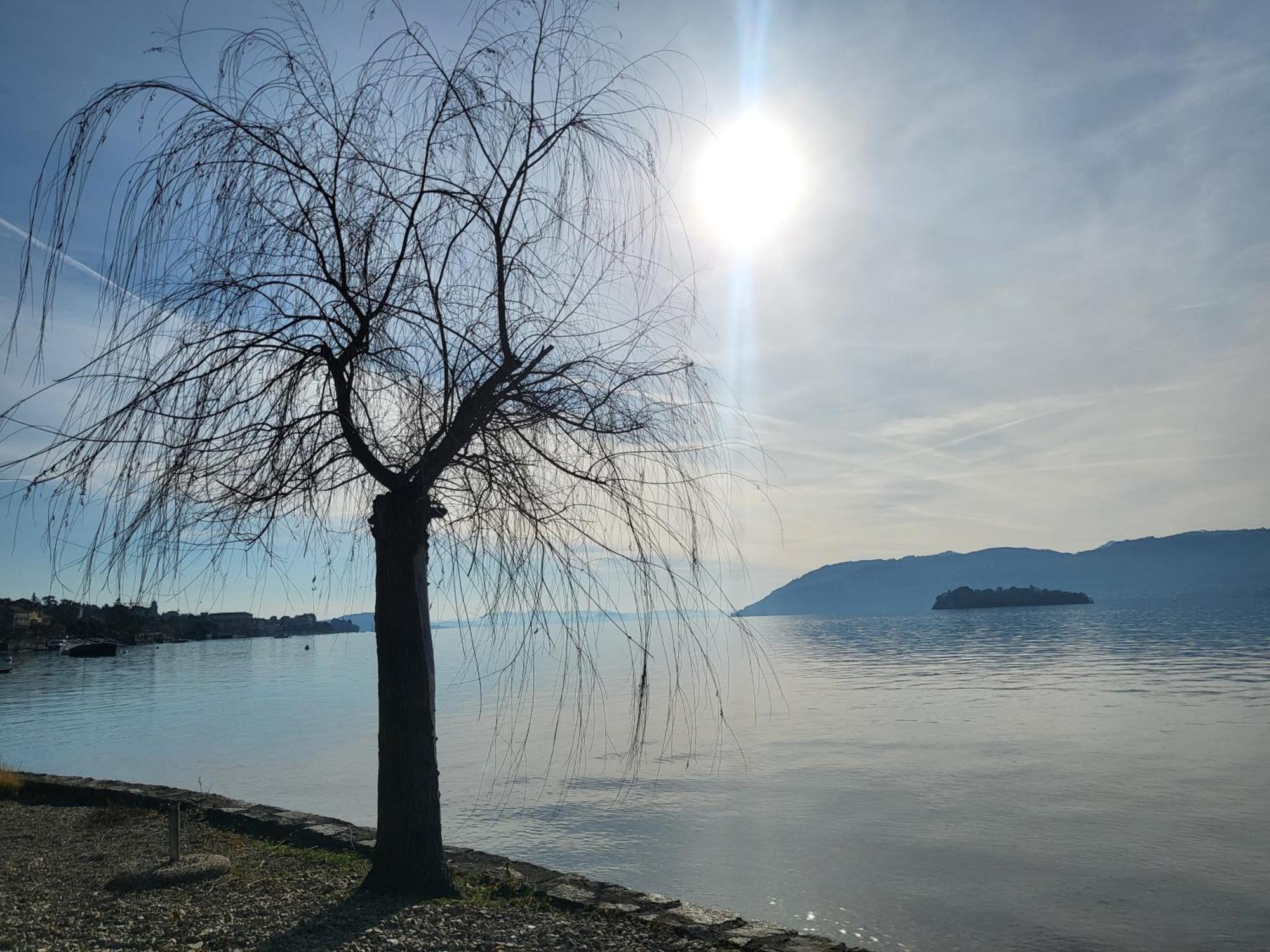 גיפה Bella Vista Lago Maggiore מראה חיצוני תמונה